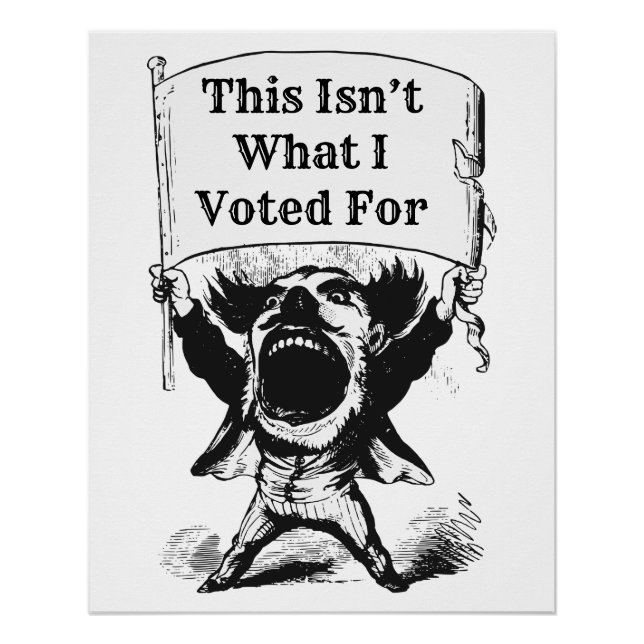 This Isn’t What I Voted For Poster (Front)