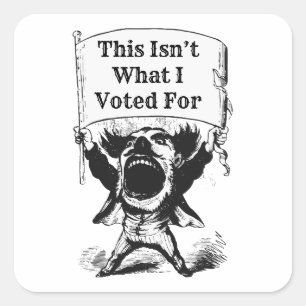 This Isn’t What I Voted For Square Sticker