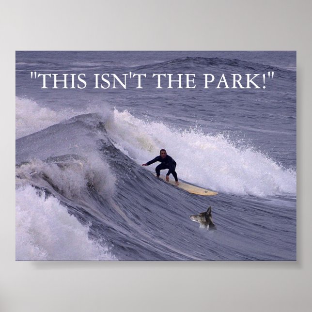 THIS ISN'T THE PARK! POSTER (Front)