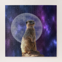 This Little Meerkat Loves A Full Moon,