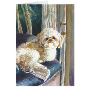 This little pet dog is waiting for his master