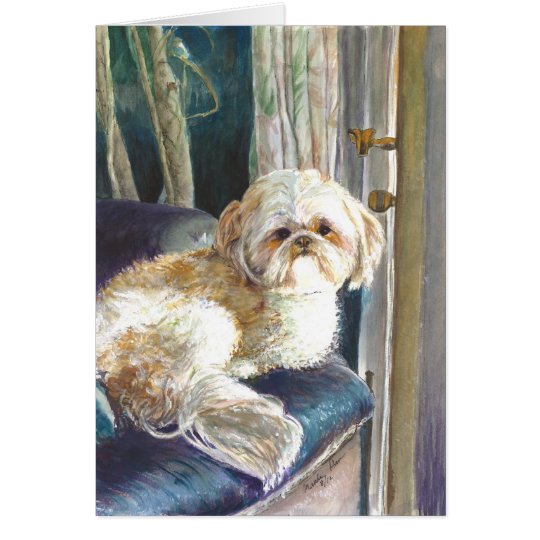 This little pet dog is waiting for his master card