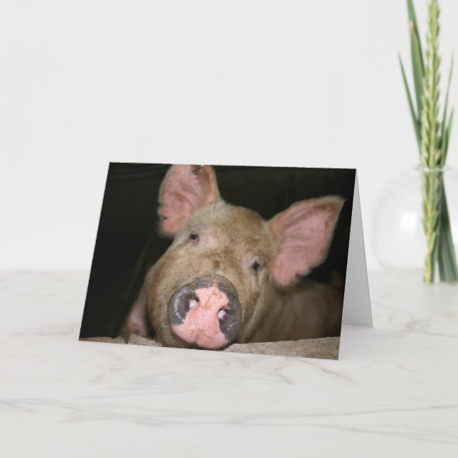 This Little Piggy says Sorry Card (Front)