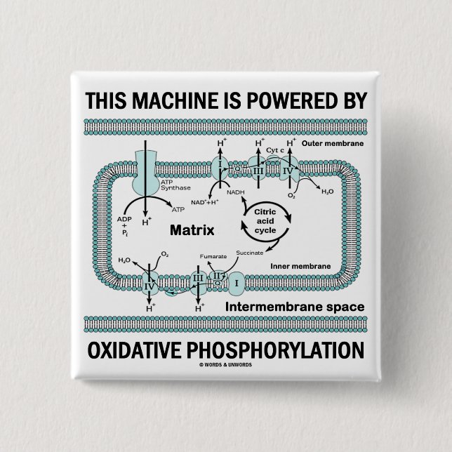 This Machine Powered By Oxidative Phosphorylation 15 Cm Square Badge (Front)