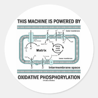This Machine Powered By Oxidative Phosphorylation Classic Round Sticker