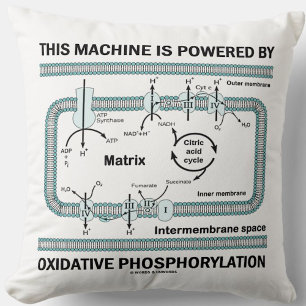This Machine Powered By Oxidative Phosphorylation Cushion