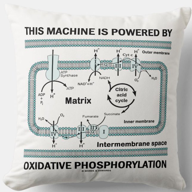 This Machine Powered By Oxidative Phosphorylation Cushion (Throw pillow for anyone powered by oxidative phosphorylation (& that means you))