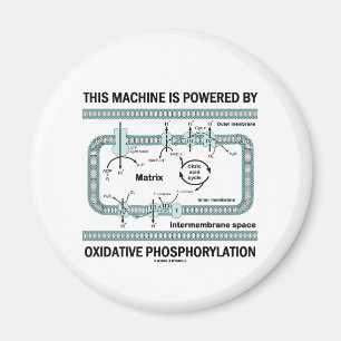This Machine Powered By Oxidative Phosphorylation Magnet