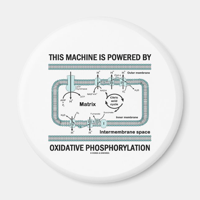 This Machine Powered By Oxidative Phosphorylation Magnet (Front)