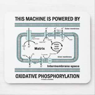 This Machine Powered By Oxidative Phosphorylation Mouse Mat