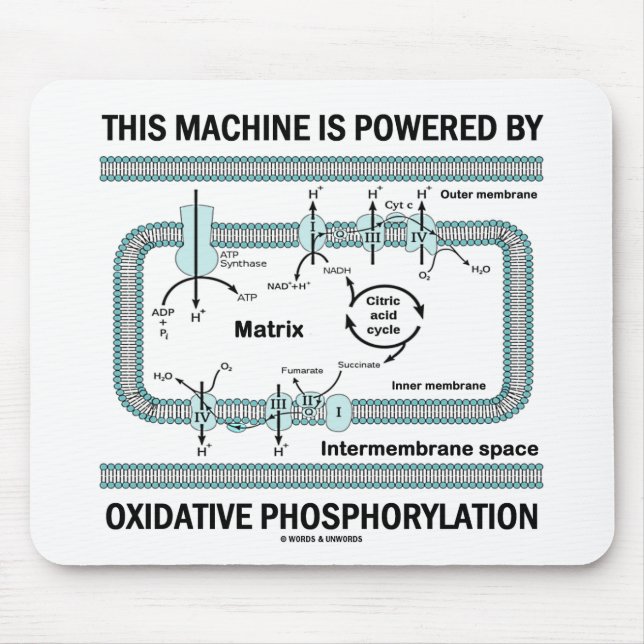 This Machine Powered By Oxidative Phosphorylation Mouse Mat (Front)