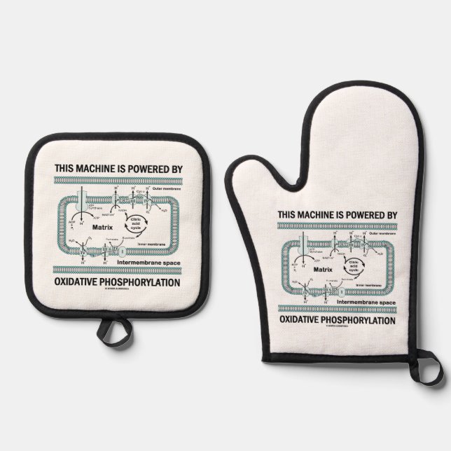 This Machine Powered By Oxidative Phosphorylation Oven Mitt & Pot Holder Set (Front)