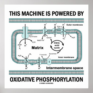 This Machine Powered By Oxidative Phosphorylation Poster