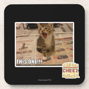 This one! coaster