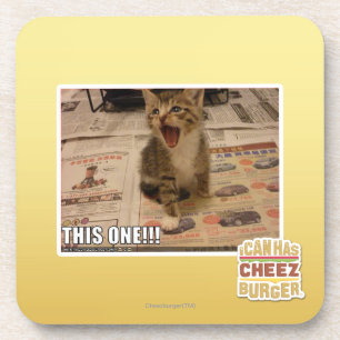This one! coaster