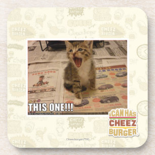 This one! coaster