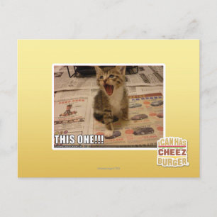 This one! postcard