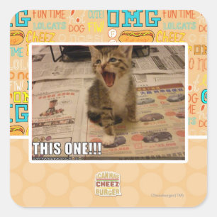 This one! square sticker