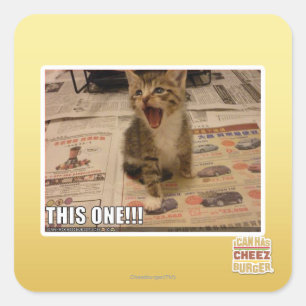 This one! square sticker