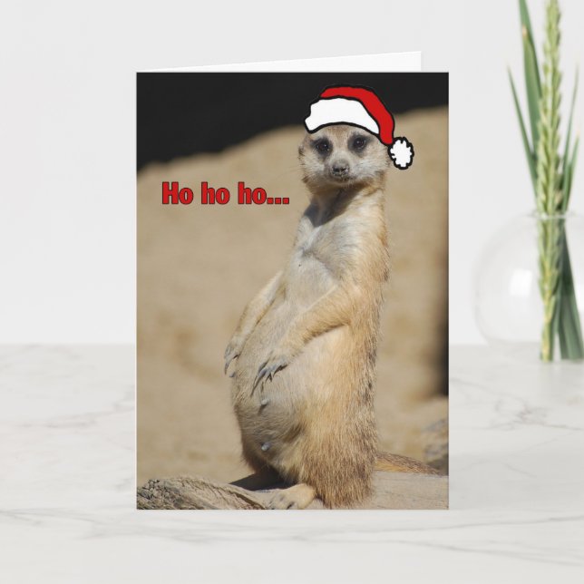 This Pregnant Meerkat Santa Momma Holiday Card (Front)