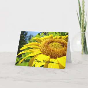 This Summer I Fell in Love! Cards Announcements