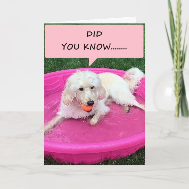 THIS SWIMMING PUP DECLARES HIS / HER LOVE FOR YOU CARD (Front)