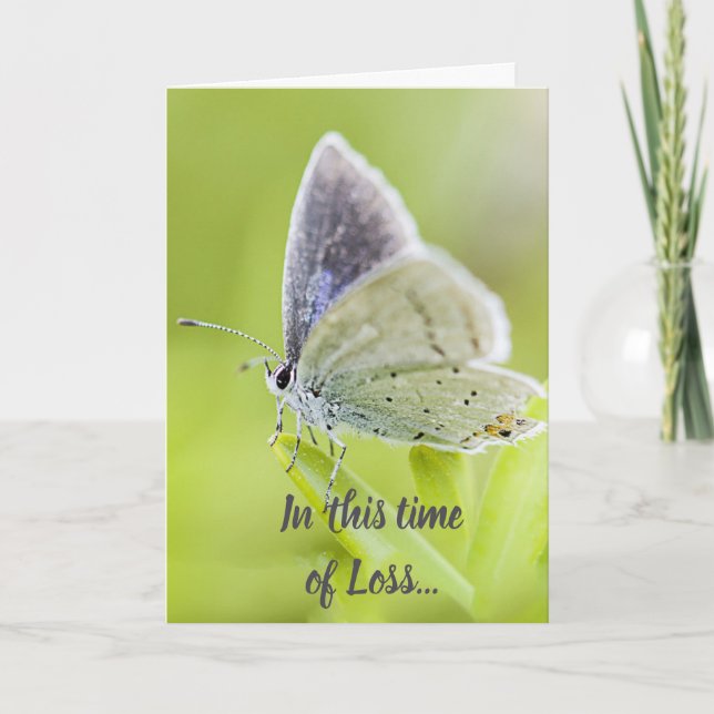 This Time of Loss Scripture Comfort Butterfly Card (Front)
