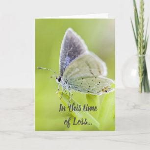 This Time of Loss Scripture Comfort Butterfly Card