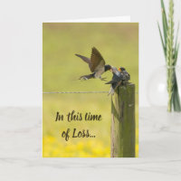 This Time of Loss Scripture Comfort Swallow Bird