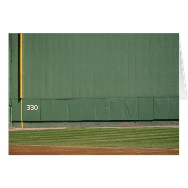 This wall is known as 'the Green Monster.'Foul (Front Horizontal)