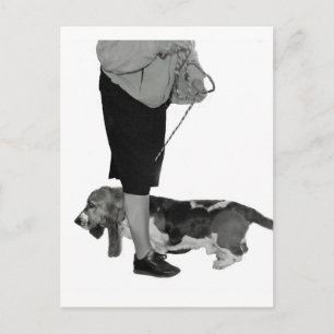 This Way-That Way Postcard