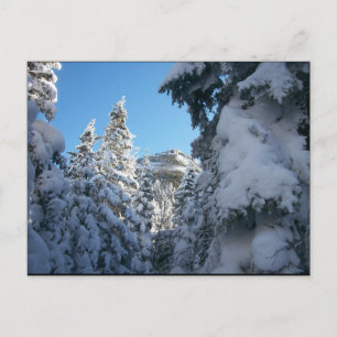 This way to the top. postcard