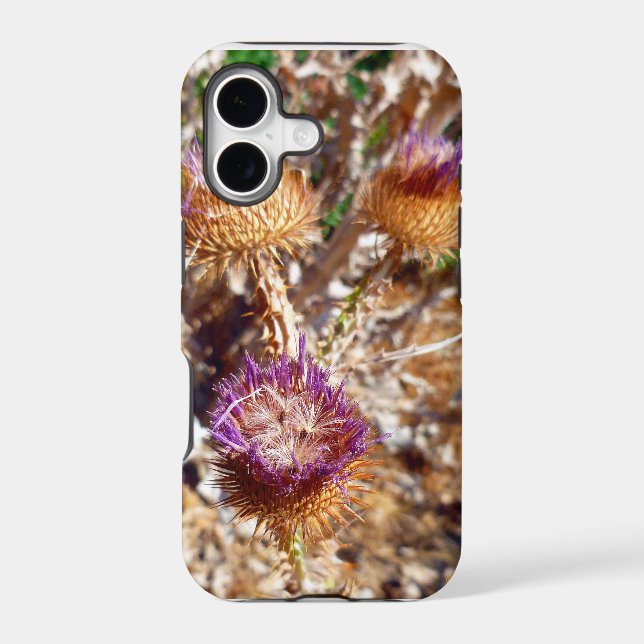 Thistle (Back)