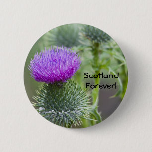Thistle 6 Cm Round Badge