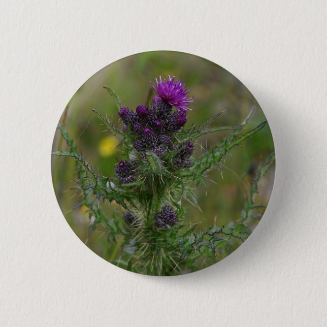 Thistle 6 Cm Round Badge (Front)