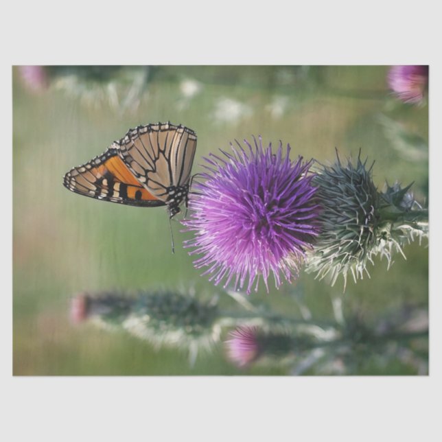 Thistle and Butterfly Print Tissue Paper (Front)
