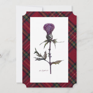 thistle and plaid