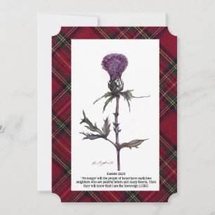 thistle and plaid