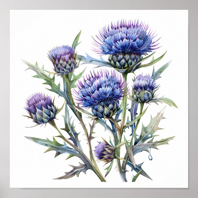 Thistle Art Print, Wildflowers Poster (Front)