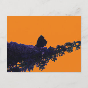Thistle Butterfly on Butterfly Bush DIY Postcard