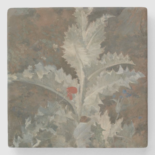 Thistle (by John Crome) Stone Coaster (Front)