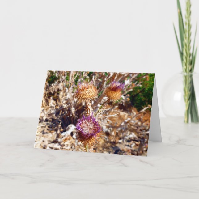 Thistle Card (Front)