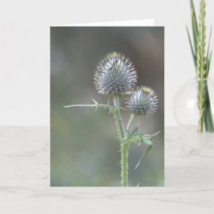 Thistle Card