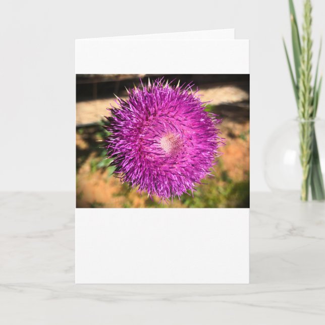 Thistle, Card (Front)