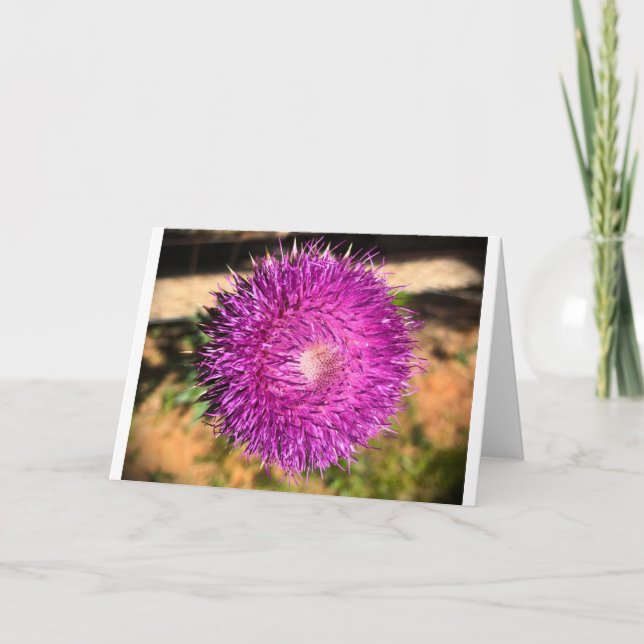 Thistle, Card (Front)