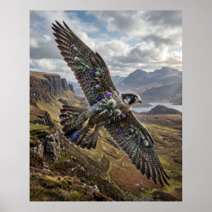 Thistle Falcon Highland Sky Poster