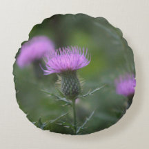 Thistle Flower Pillow