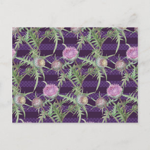 Thistle flowers violet postcard