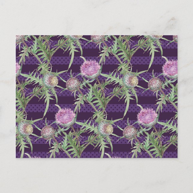 Thistle flowers violet postcard (Front)
