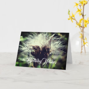 Thistle Fluff Flower Customisable Birthday  Card